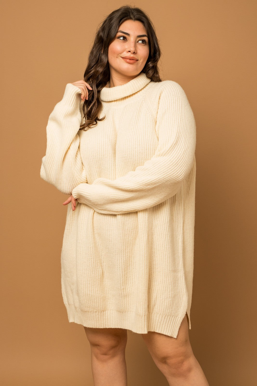 Plus Size Gretta Turtleneck Dress