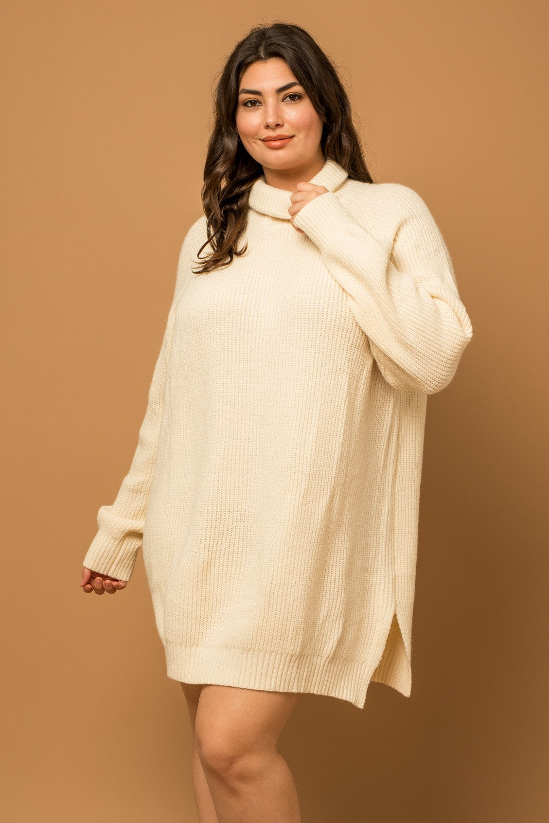 Plus Size Gretta Turtleneck Dress