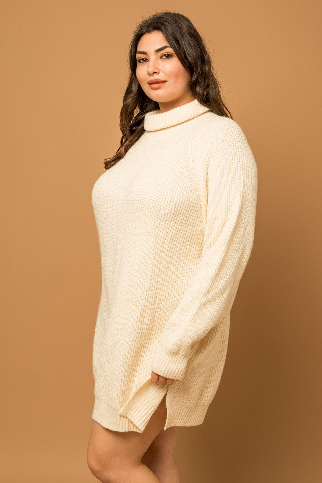 Plus Size Gretta Turtleneck Dress