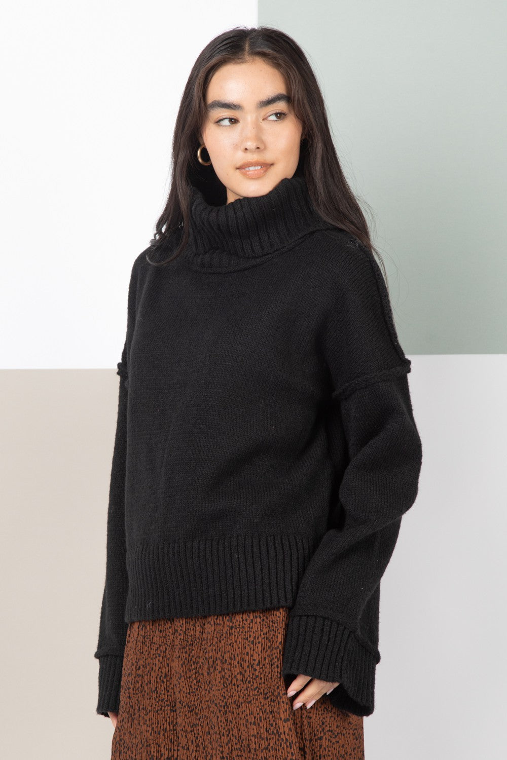 Curvy & Regular Cozy Turtleneck Sweater – Ever Rhode
