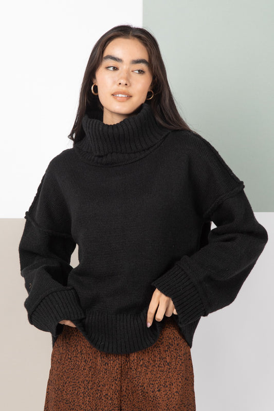 Curvy & Regular Cozy Turtleneck Sweater