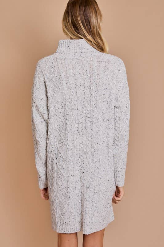 Palmer Turtle Neck Cable Sweater Dress