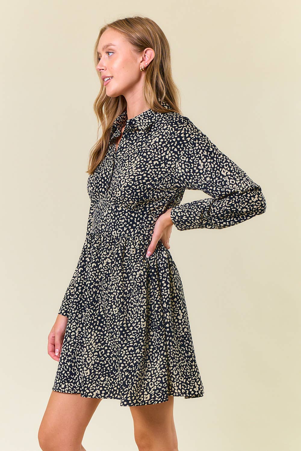 Elleren Collared Animal Print Dress