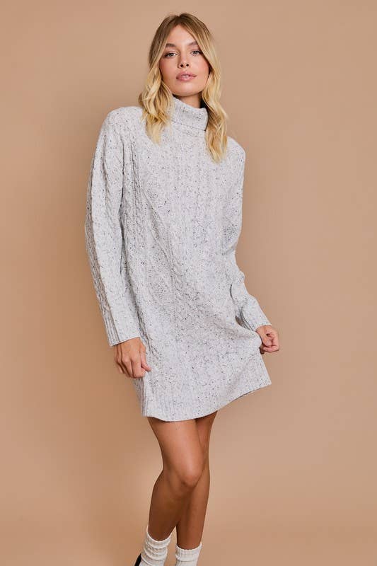 Palmer Turtle Neck Cable Sweater Dress