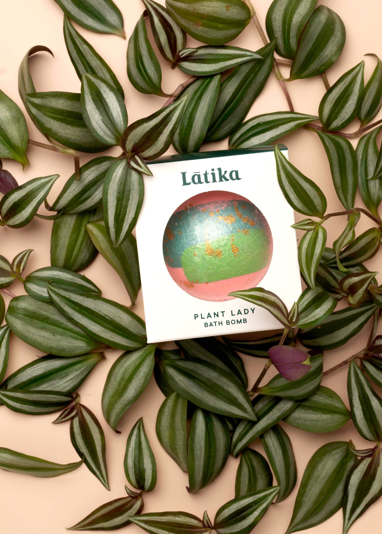 🍃Plant Lady Bath Bomb - Signature - Hand Painted